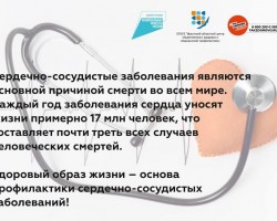 ССЗ1