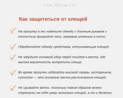 как_защититься_от_клещей.jpg